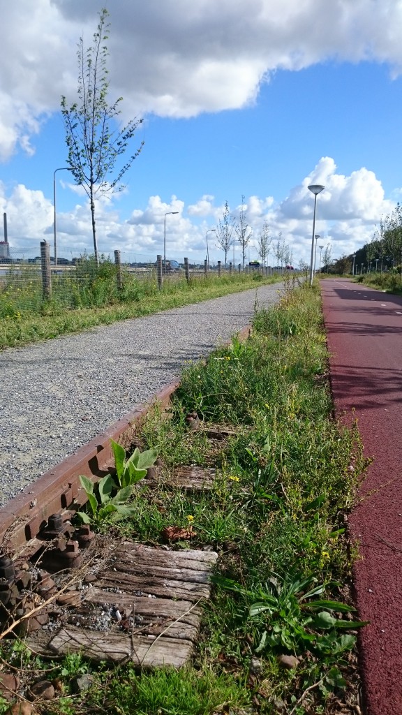 Het spoor getransformeerd tot voetgangersroute