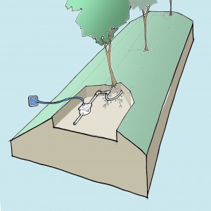 Waterhuishouding voor de beplanting op de wal